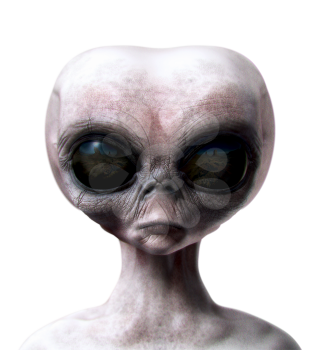 Grey alien portrait front view isolated on white