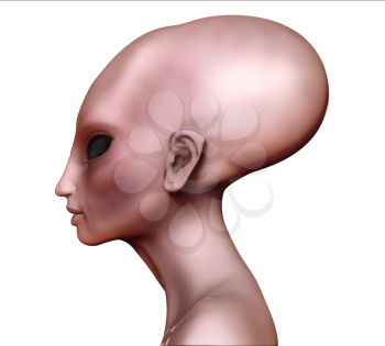 Hybrid alien woman elongated head / skull side view on white