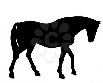 Royalty Free Clipart Image of a Black Horse