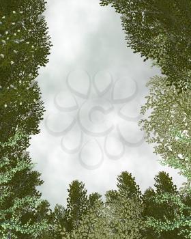 Royalty Free Clipart Image of a Forest Frame