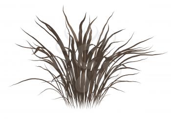 Royalty Free Clipart Image of a Clump of Dead Grass