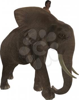 Royalty Free Clipart Image of a Boy on an Elephant