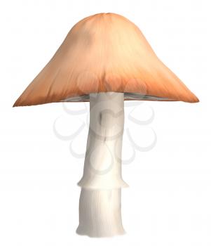 Royalty Free Clipart Image of an Orange Mushroom