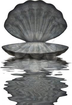 Royalty Free Clipart Image of an Open Oyster Shell Reflected in Water