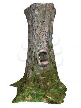 Royalty Free Clipart Image of a Dead Tree