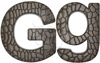 Royalty Free Clipart Image of Alligator Skin Font G Lowercase and Capital Letters