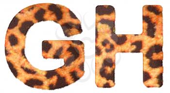 Royalty Free Clipart Image of Leopard Print G and H