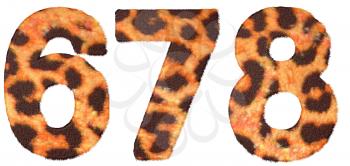 Royalty Free Clipart Image of Leopard Print Numbers