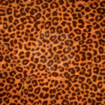 Royalty Free Clipart Image of a Leopard Print Background