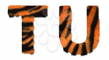 Royalty Free Clipart Image of Tiger Fell Font T and U