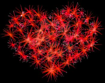 Fireworks heart shape for Valentines Day over black