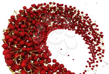 Ripe Red cherry swirl isolated over white background