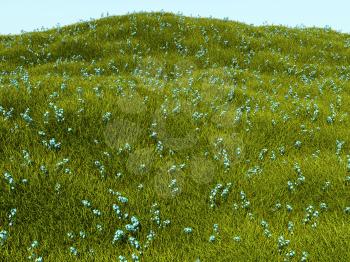 Forget-me-not flowers and green grass on the meadow with hills and blue sky