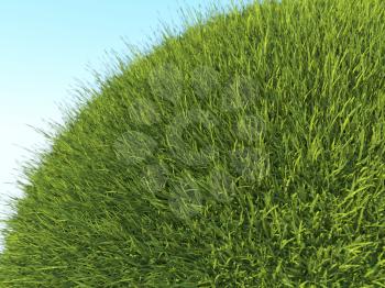 Green planet: close up of fresh grass and blue sky in summer