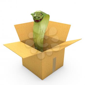 Green cobra in a carton box, isolated on white background