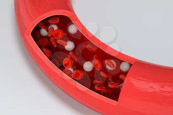 Red and white blood cells in the blood vessel, 3d rendering. Computer digital drawing.