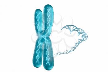 Chromosome with white background, 3d rendering. Computer digital drawing.