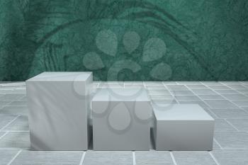 Cube platform with plant shadows on the green wall, 3d rendering. Computer digital drawing.