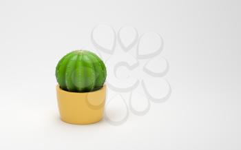 Cactus with a white background, 3d rendering. Computer digital drawing.