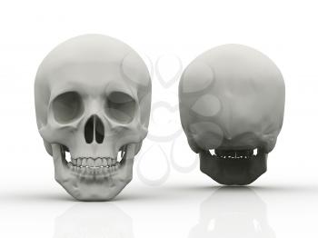 Royalty Free Clipart Image of the Front and Back of a Skull