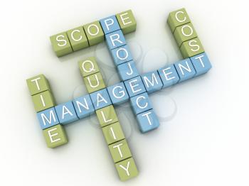 3d image project management  issues concept word cloud background