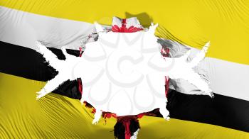 Brunei flag with a big hole, white background, 3d rendering