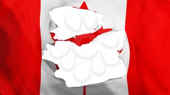 Tattered Canada flag, white background, 3d rendering