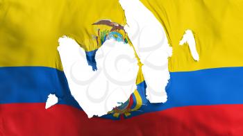 Ragged Ecuador flag, white background, 3d rendering