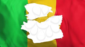 Tattered Mali flag, white background, 3d rendering
