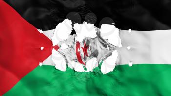 Holes in Sahrawi Arab Democratic Republic flag, white background, 3d rendering