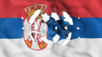 Serbia flag with a small holes, white background, 3d rendering