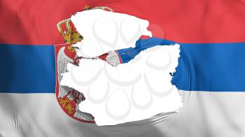 Tattered Serbia flag, white background, 3d rendering