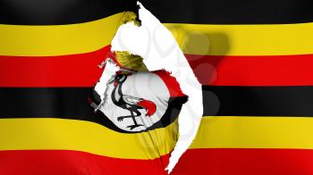 Damaged Uganda flag, white background, 3d rendering
