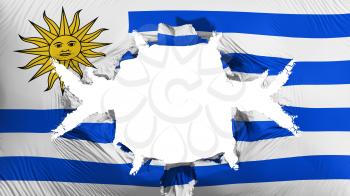 Uruguay flag with a big hole, white background, 3d rendering