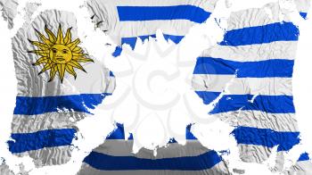 Uruguay torn flag fluttering in the wind, over white background, 3d rendering