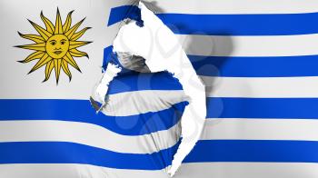 Damaged Uruguay flag, white background, 3d rendering