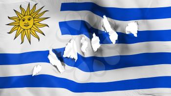 Uruguay flag perforated, bullet holes, white background, 3d rendering