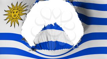 Big hole in Uruguay flag, white background, 3d rendering