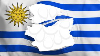 Tattered Uruguay flag, white background, 3d rendering