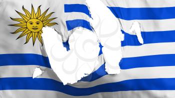 Ragged Uruguay flag, white background, 3d rendering
