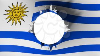 Hole cut in the flag of Uruguay, white background, 3d rendering
