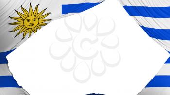 Divided Uruguay flag, white background, 3d rendering