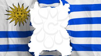 Ripped Uruguay flying flag, over white background, 3d rendering