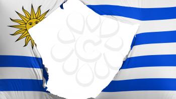 Cracked Uruguay flag, white background, 3d rendering
