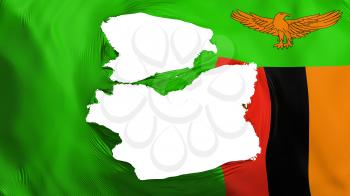 Tattered Zambia flag, white background, 3d rendering