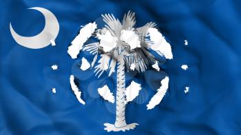 South Carolina state flag with a small holes, white background, 3d rendering