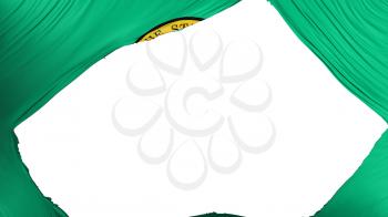 Divided Washington state flag, white background, 3d rendering