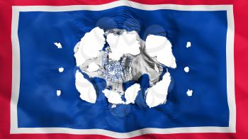 Holes in Wyoming state flag, white background, 3d rendering