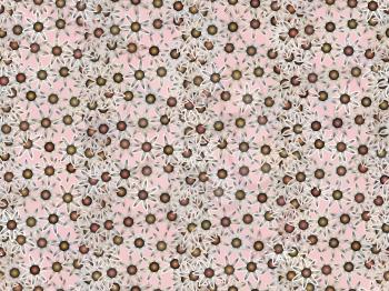 Royalty Free Clipart Image of a Seamless Floral Pattern