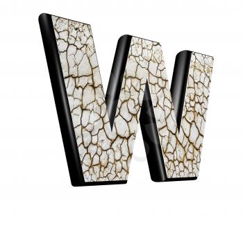 abstract 3d letter with dry ground texture - W
